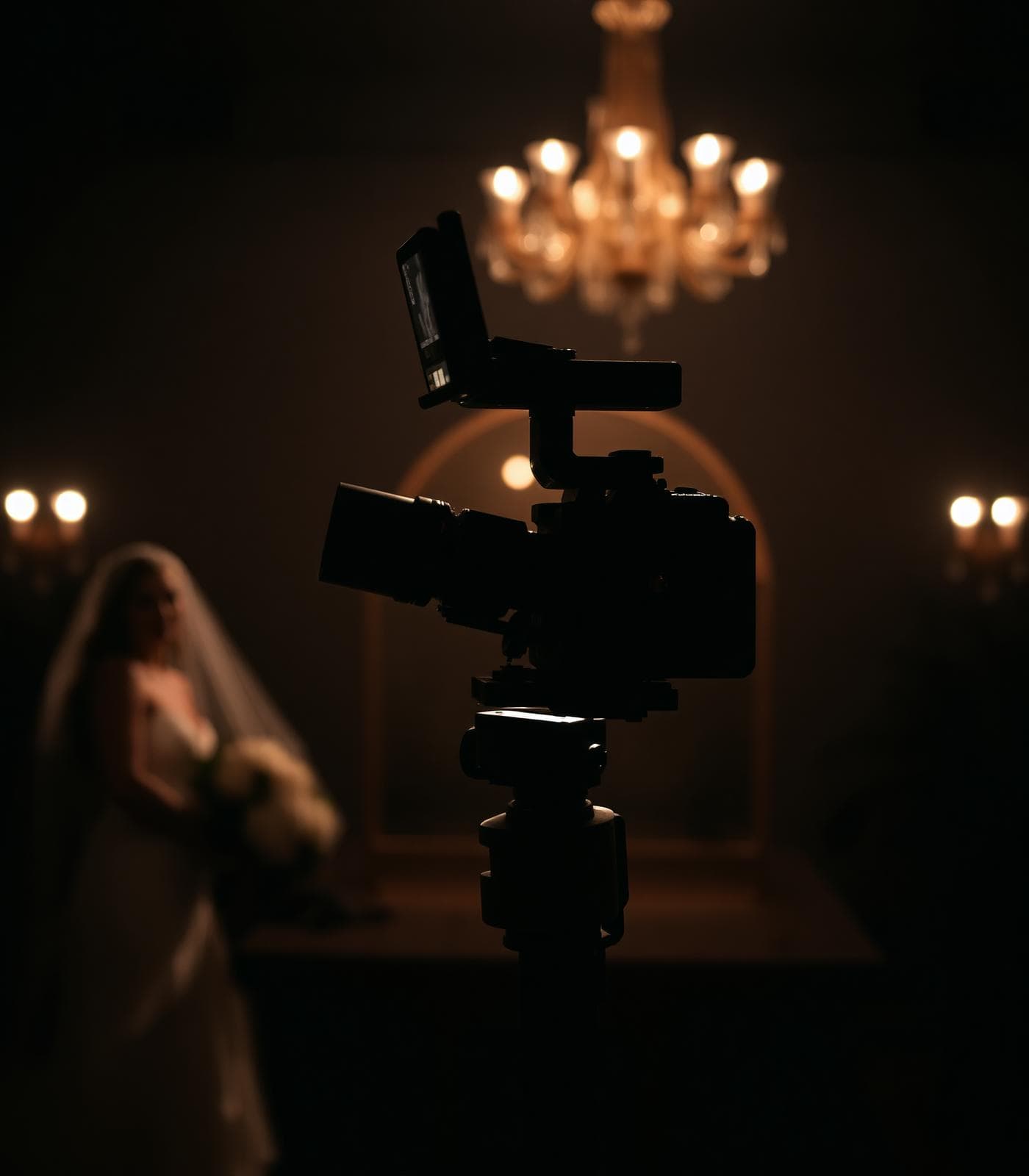Studio 69 — portrait